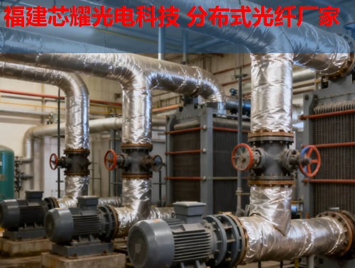 分布式光纖技術如何應用于英語教學？跨學科融合的無限可能。