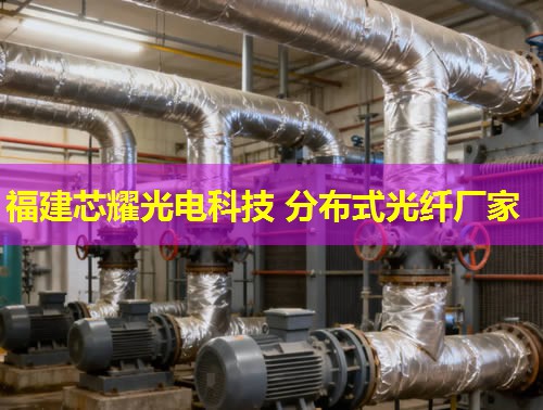 上海分布式光纖檢測技術(shù)如何提升城市通信安全？行業(yè)領(lǐng)先方案詳解。