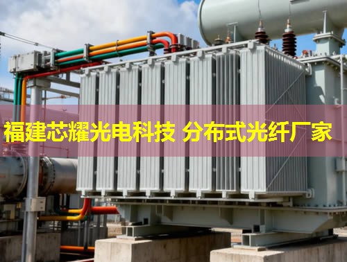 沈陽地區(qū)分布式感溫光纖鋪設技術(shù)優(yōu)勢與應用實踐 沈陽地區(qū)分布式感溫光纖鋪設技術(shù)優(yōu)勢與應用實踐