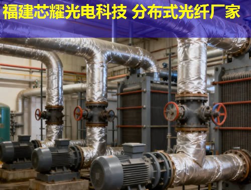 分布式光纖地面采集系統(tǒng)究竟有何優(yōu)勢？答案：實時監(jiān)測，精準(zhǔn)數(shù)據(jù)采集