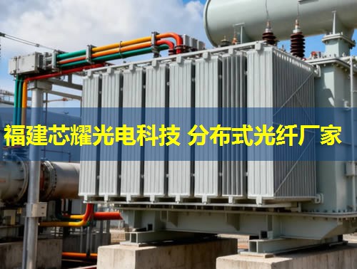 河北地區(qū)分布式光纖技術(shù)應(yīng)用前景廣闊，助力智慧城市建設(shè)新篇章。光纖網(wǎng)絡(luò)覆蓋廣，信息傳輸效率高。